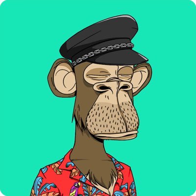 HHJTAM's profile picture. NFT collector & Crypto investor | BAYC#9680 | MAYC#8988 | BAKC#2768