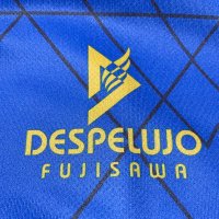 デスペルーホ藤沢 (@despe_official) 's Twitter Profile Photo デスペルーホ藤沢 (@despe_official) 's Twitter Profile Photo