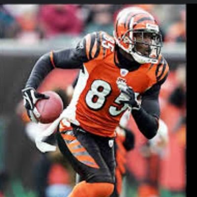 cincytigerboyz Profile Picture