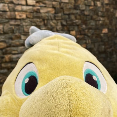 flounder_devon's profile picture. El pececito mas tierno de todos 🫧 || 🖤👗|| ACVT