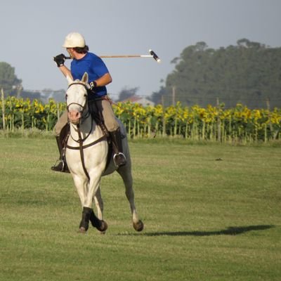 Ing en Producción Agropecuaria - Cultivar el suelo es servir a la Patria 
⭐⭐⭐
78 - 86 - 22