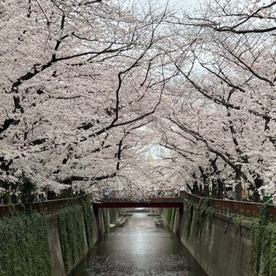 Postdoctoral Research Associate in IBS|PhD in Physics|🇯🇵🇺🇸🇨🇳🆗|Quantum Many-Body Problems|USTC➡️UTokyo➡️IBS