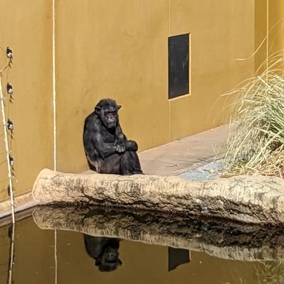 屋根の下さんのプロフィール画像