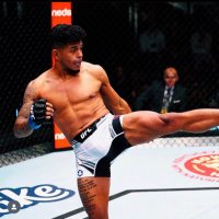 Jonathan dragon Martinez (@dragonpollo3) 's Twitter Profile