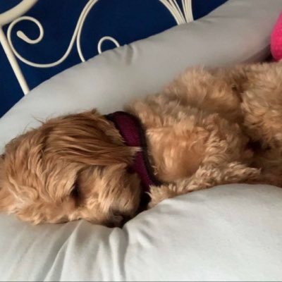 RickyroZain's profile picture. Love me or hate me either way I'm still on your mind