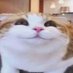 Zok (@zokanimations) Twitter profile photo Zok (@zokanimations) Twitter profile photo