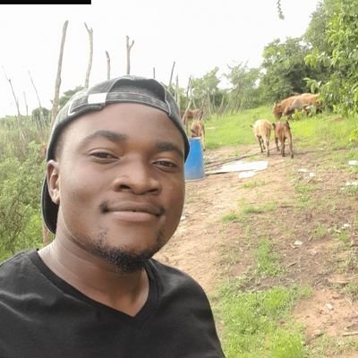 Network Associate | Farmer
cc: @shichongwe
Shichongwe farms 🇿🇲