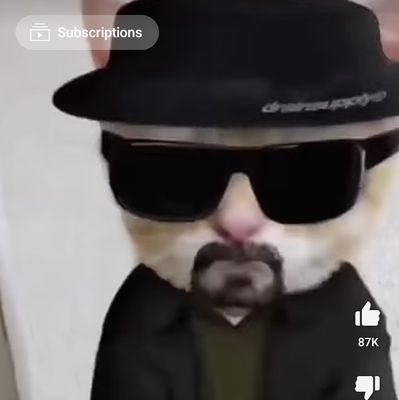 ferny20011's profile picture. I like food sleep my dog yea that's basically it hope who ever is reading this has good day afternoon night or rest of day 😁