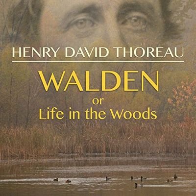 Goodness is the only investment that never fails.

Henry David Thoreau
Walden: Higher Laws…🏚