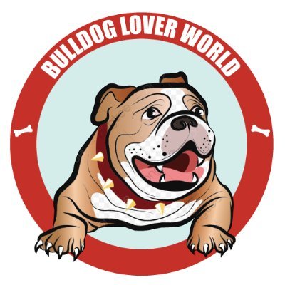Welcome to #Bulldog Lover World.
Follow us to see awesome Bulldog contents!