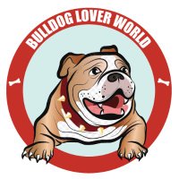 Bulldog Lover World (@bulldog_world) 's Twitter Profile Photo Bulldog Lover World (@bulldog_world) 's Twitter Profile Photo