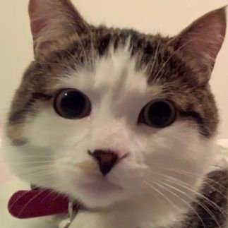 Jasperさんのプロフィール画像