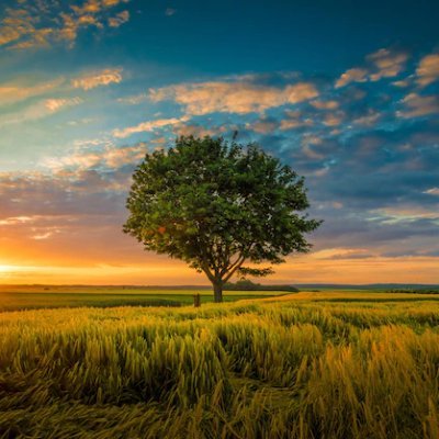 VMalanciou's profile picture. Je voyage et j'adore partager des bons plans 😁😁