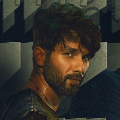 shahidkapoorNet Profile Picture