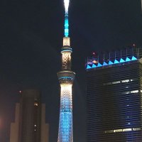 とある国民民主党支持者 (@mochiran29) 's Twitter Profile