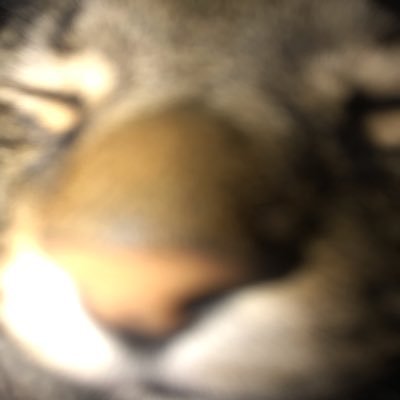 تさんのプロフィール画像