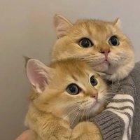 ERICK GOMEZ (@erickswag1) 's Twitter Profile