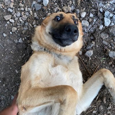 finerwrld's profile picture. figuring it out...