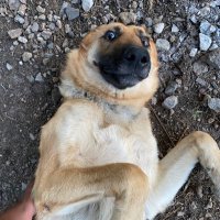 finer world (@finerwrld) 's Twitter Profile