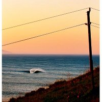 ❤ Memecoin sorevir.eth(꧁IP꧂) (@elvisgalbraith6) 's Twitter Profile