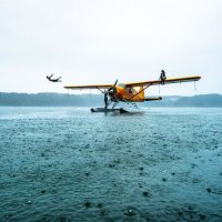 ❤ Memecoin nickalot.eth (@hazelbarnard10) 's Twitter Profile