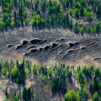 ❤ Memecoin vregath.eth(꧁IP꧂) (@nancyha61787550) 's Twitter Profile