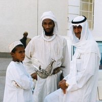 This is Oman (@it_is_oman) 's Twitter Profile