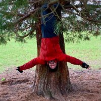 Paul #EYForestSchool(@MuddyKneesFS) 's Twitter Profile Photo