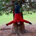Paul #EYForestSchool (@muddykneesfs) Twitter profile photo Paul #EYForestSchool (@muddykneesfs) Twitter profile photo