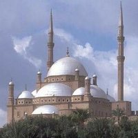 tigerman (@tigerman99999) Twitter profile photo