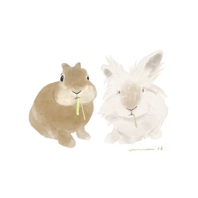 hatopoppo123412's profile picture. 3匹のうさぎと1匹のチンチラと暮らしています🐰🐭この子たちに出会い、動物が苦手だった人生が変わりました🐰💓クレヨンしんちゃんが大好きでグッズを集めています🥰