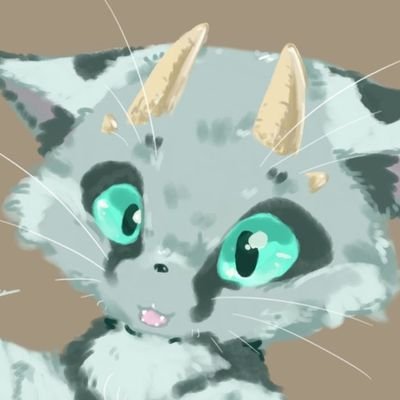 夢衣さんのプロフィール画像