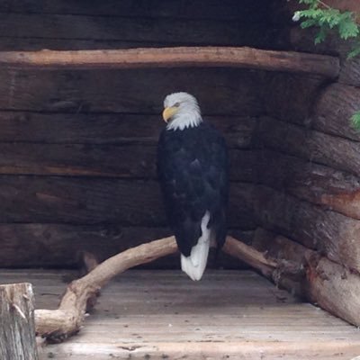 fabiotamayo20's profile picture. 