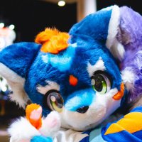 リオン (@fw_rion_) 's Twitter Profile Photo リオン (@fw_rion_) 's Twitter Profile Photo