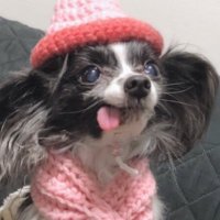 へたぁれれれr (@vippy07210721) 's Twitter Profile