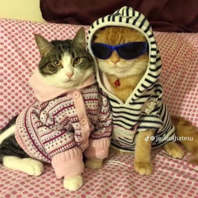 am0urnat's profile picture. you should consider a therapist