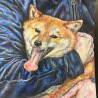 yaz (@yaz) 's Twitter Profile