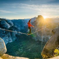 fatihkilinc.eth (@sigridgunther1) 's Twitter Profile