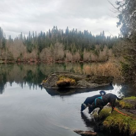 ManuBischofberg's profile picture. 