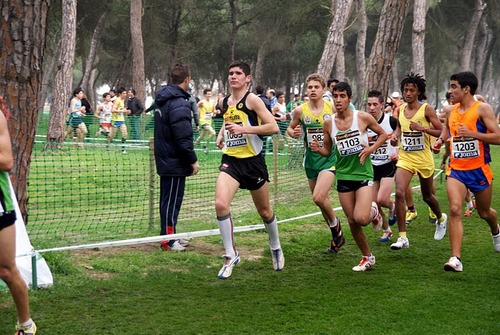 AngelGH14's profile picture. 