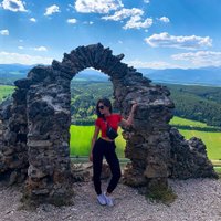 Diane (@diane_hopper_) 's Twitter Profile
