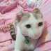 ฮูตี๋ (@mankungsania) Twitter profile photo ฮูตี๋ (@mankungsania) Twitter profile photo