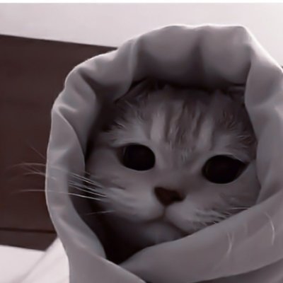 sabymanobal's profile picture. 