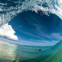 ❤ Memecoin disaqua.eth (@rudolfadam13) 's Twitter Profile