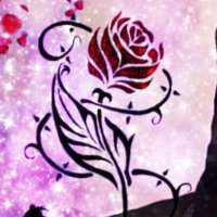 3匹の子ブタXY*¨*• ♡𓃟⋆⋆ (@yoshikiloverisa) 's Twitter Profile Photo