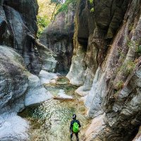 stabilcoin.eth (@neilingersoll6) 's Twitter Profile