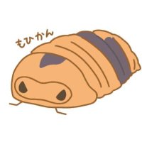 きゅ〜ばりす (@nool_pohc_cu) 's Twitter Profile