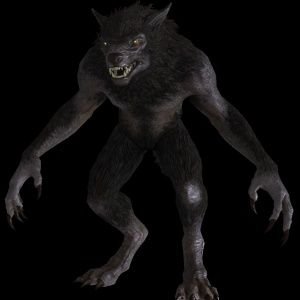 Level 35, Pagan Ally, Nerodivergent, Minors DNI, no dms without good reason