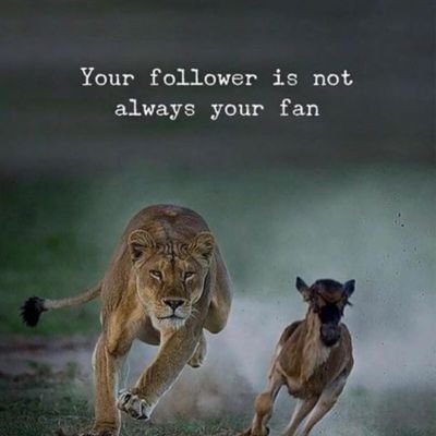 svnddas's profile picture. 