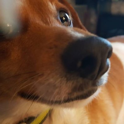 pennyhenny365 Profile Picture